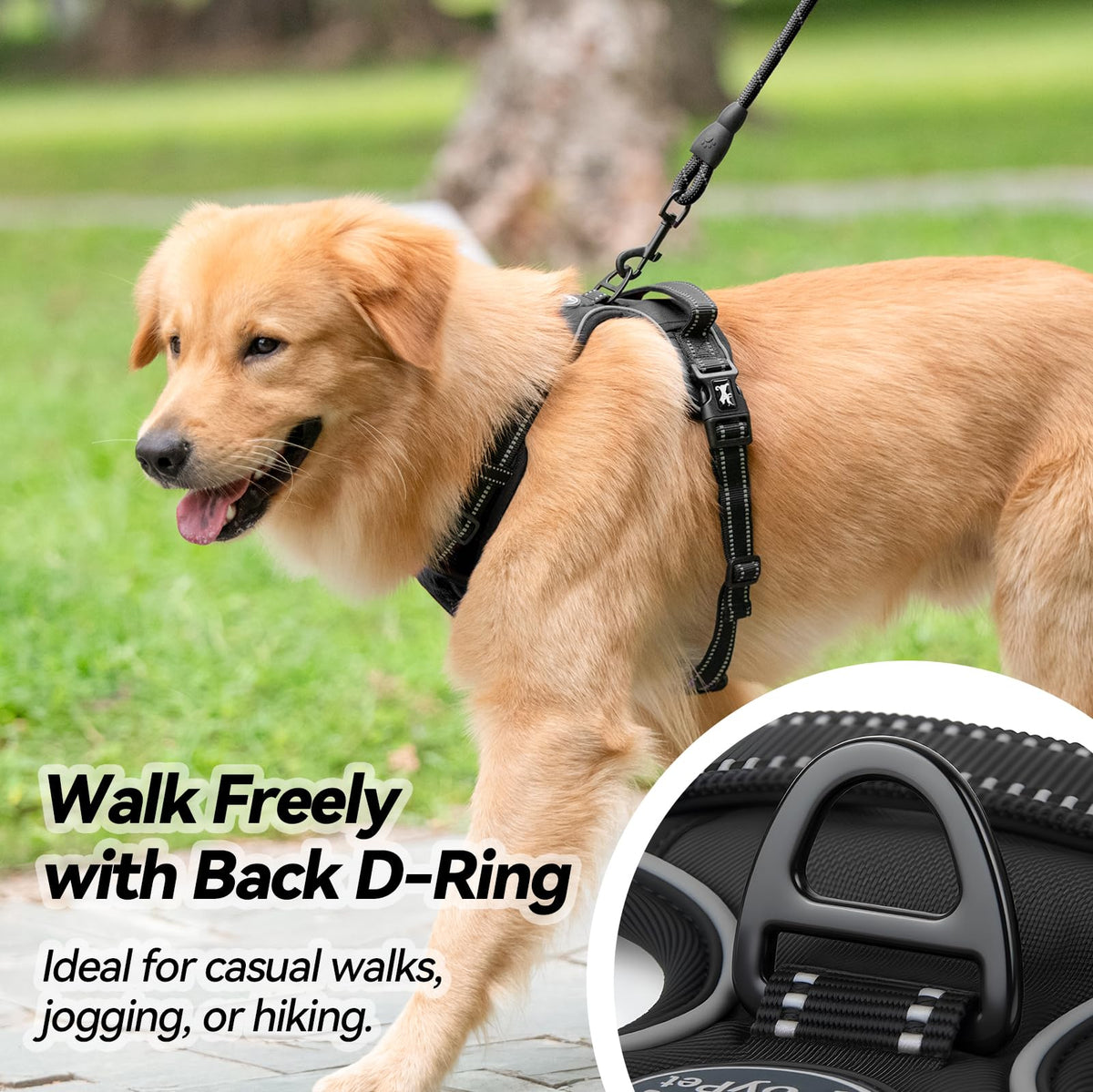 No Pull Dog Harness Medium with Front Clip & Neck Release Buckle (Medium / Black)