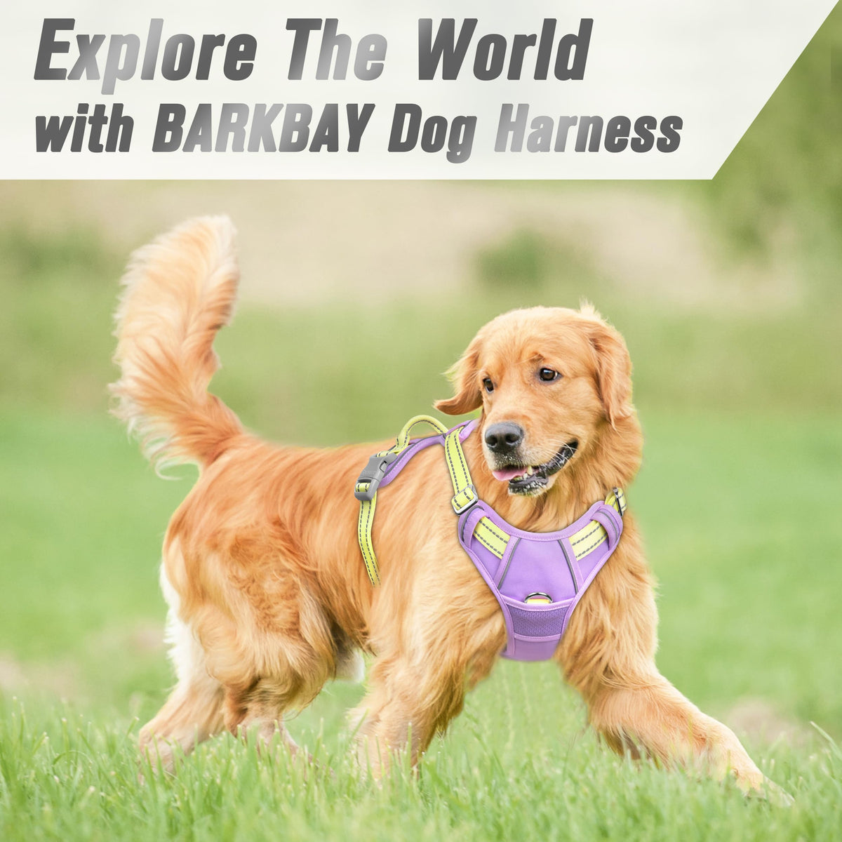 Dog Harness No Pull for Large Dogs Front Back Clips (X-Large(Chest:30-38”) / Violet Purple & Sunlight)