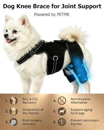 Adjustable Dog Knee Brace Lift Harness (S)