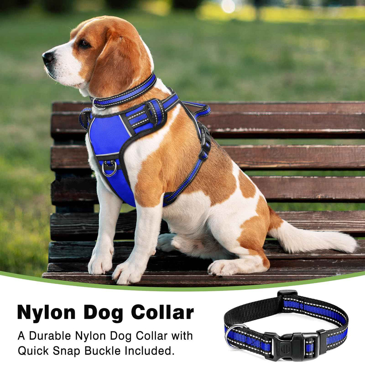 Dog Harness No Pull (Small / Blue)