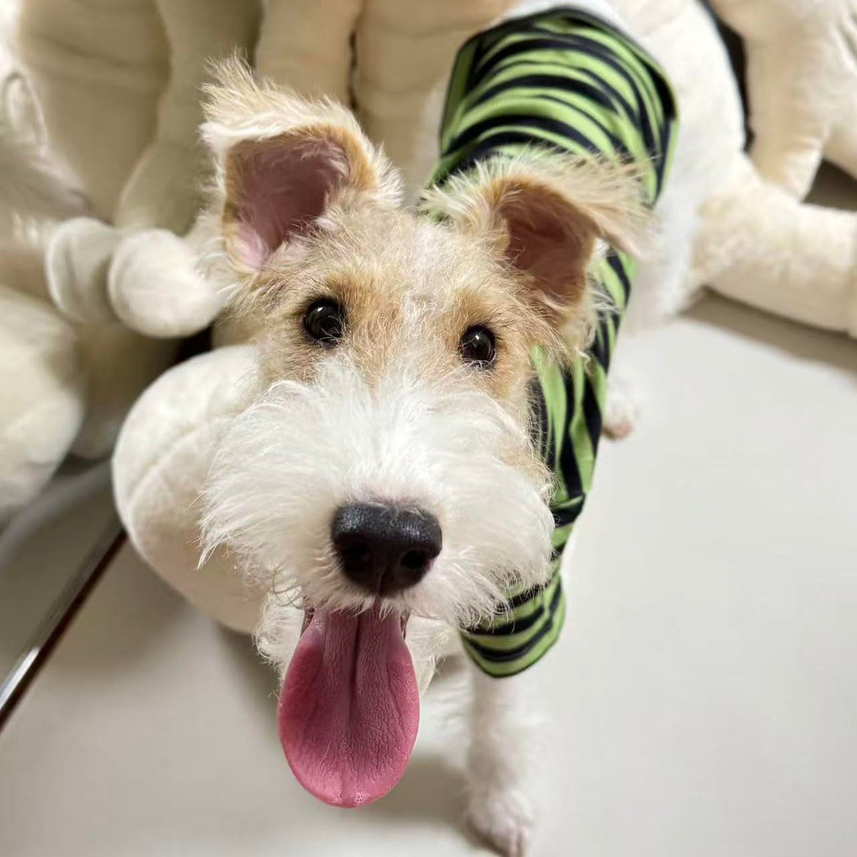 Turtleneck Dog Shirt Cute Doggie Embroidery Super Soft Dog Sweatshirt Stretchy Striped Puppy Pullover for Cats Small Medium Large Dogs (Green Striped / Large)
