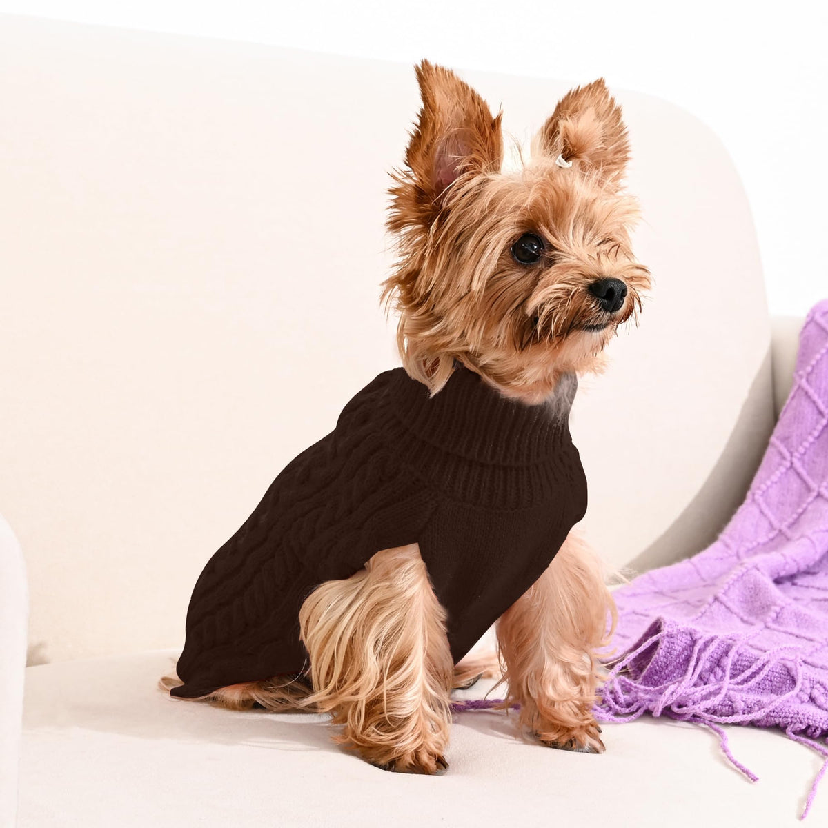 Dog Sweater 2 Pack for Small Dogs (Oatmeal & Brown / X-Small)