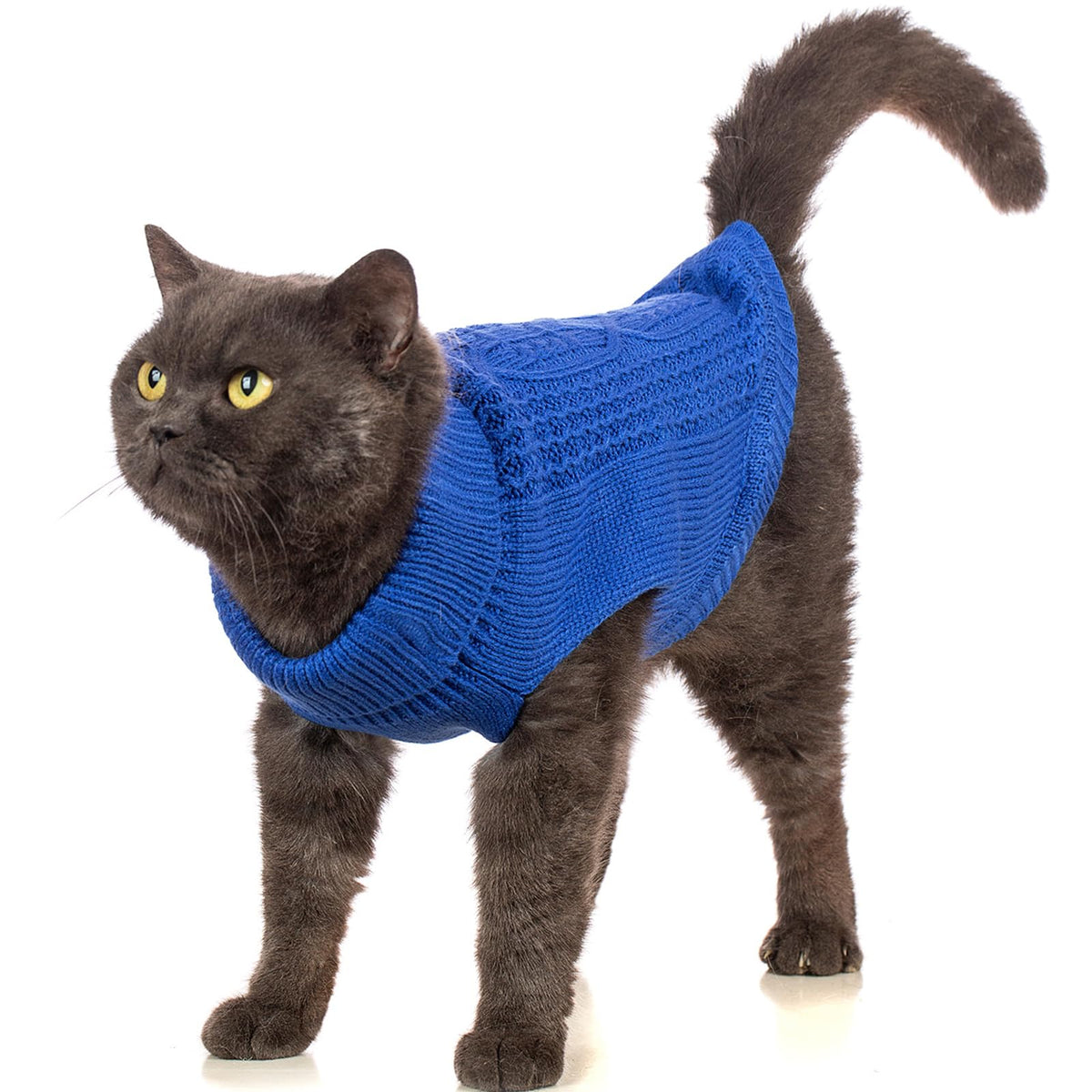 Cat Sweater Stretchy (Dark Blue / Small)