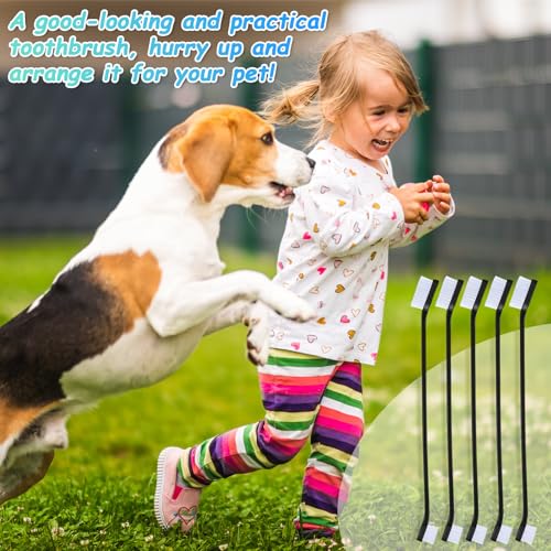 70 Pcs Dog Tooth Brush Dual Headed Pet Toothbrush (Black)