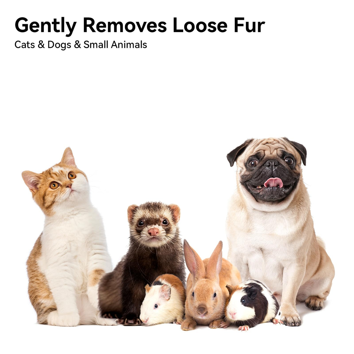Cat Brush for Shedding (White)