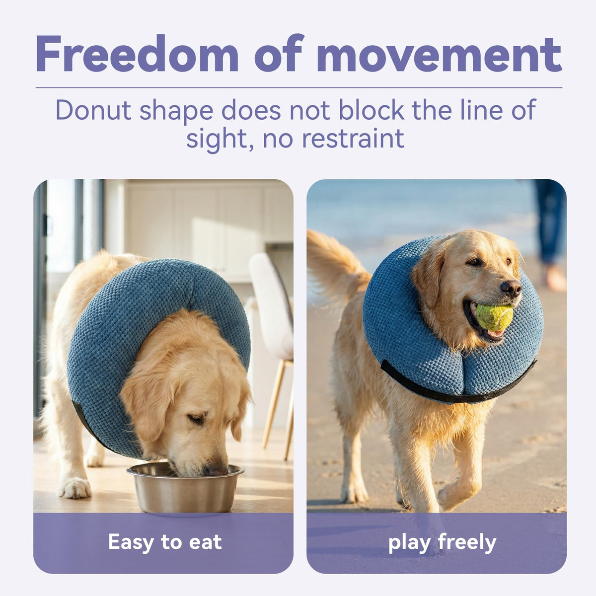 Inflatable Dog Cone Collar (M(Neck 7"-10") / Blue)