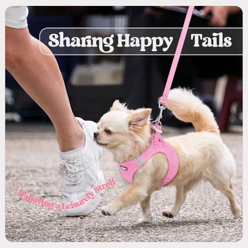 Dog Harness Small Sized and Leash Set (Light Pink / Xxxs (chest: 10.8 - 11.8"))
