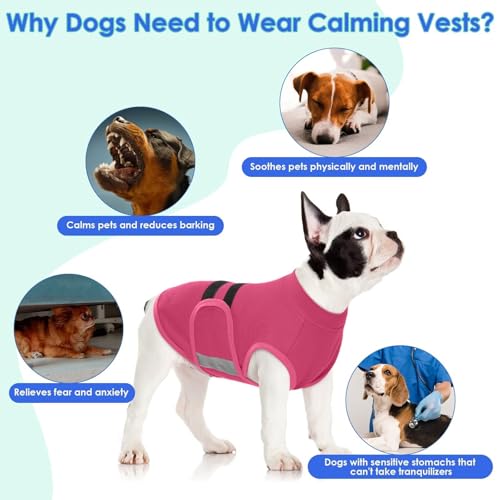 Dog Anxiety Relief Coat (RoseRed / Medium)