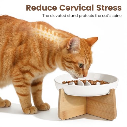 Slow Feeder Cat Bowl Elevated Ceramic with Bamboo Stand (Fishbone)