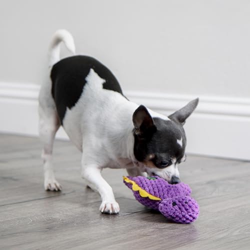 Checkers Just for Me Dinos Bruto Squeaky Plush Dog Toy (Checkers - Dinos Bruto (Purple) / Mini)