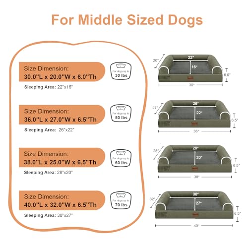 Orthopedic Dog Bed for Large Dogs (Dark Green / 38.0"L x 25.0"W x 6.5"Th)