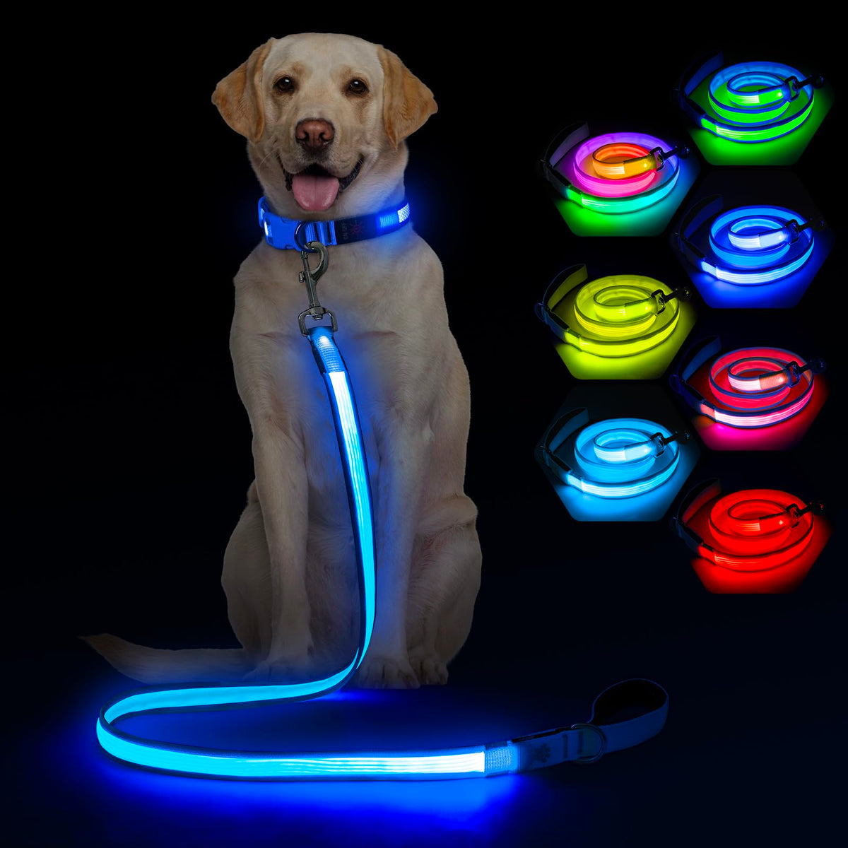 4 Ft Multi Color Light up Dog Leash (Multi-Color / 4 FT (Blue))