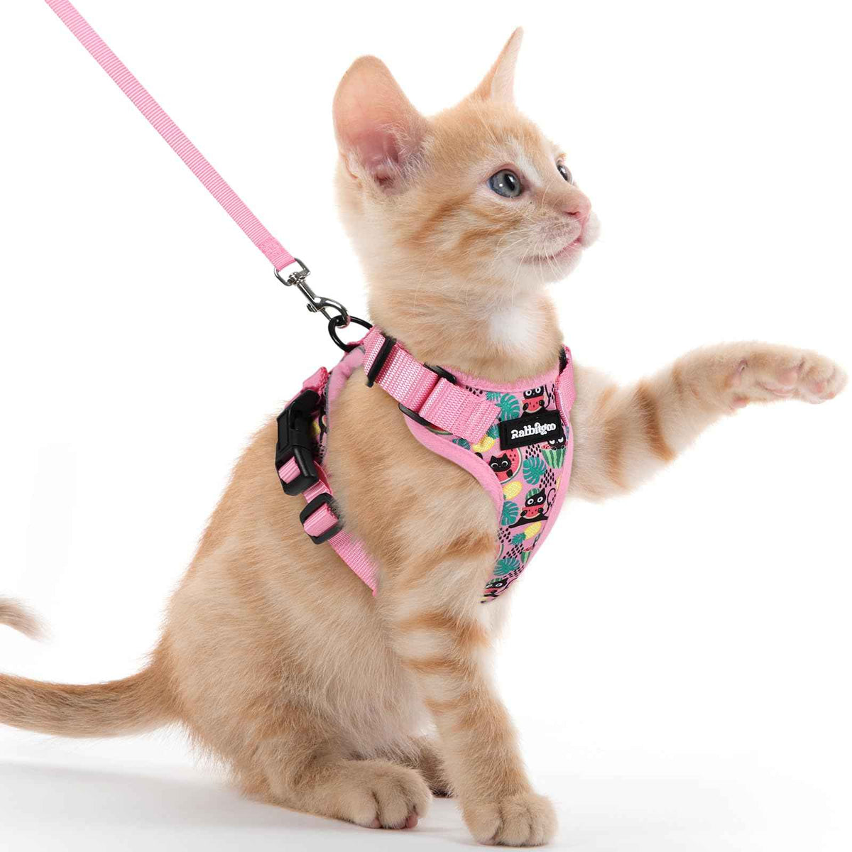 Cat Harness and Leash Set (Xxs / Melon Munch)