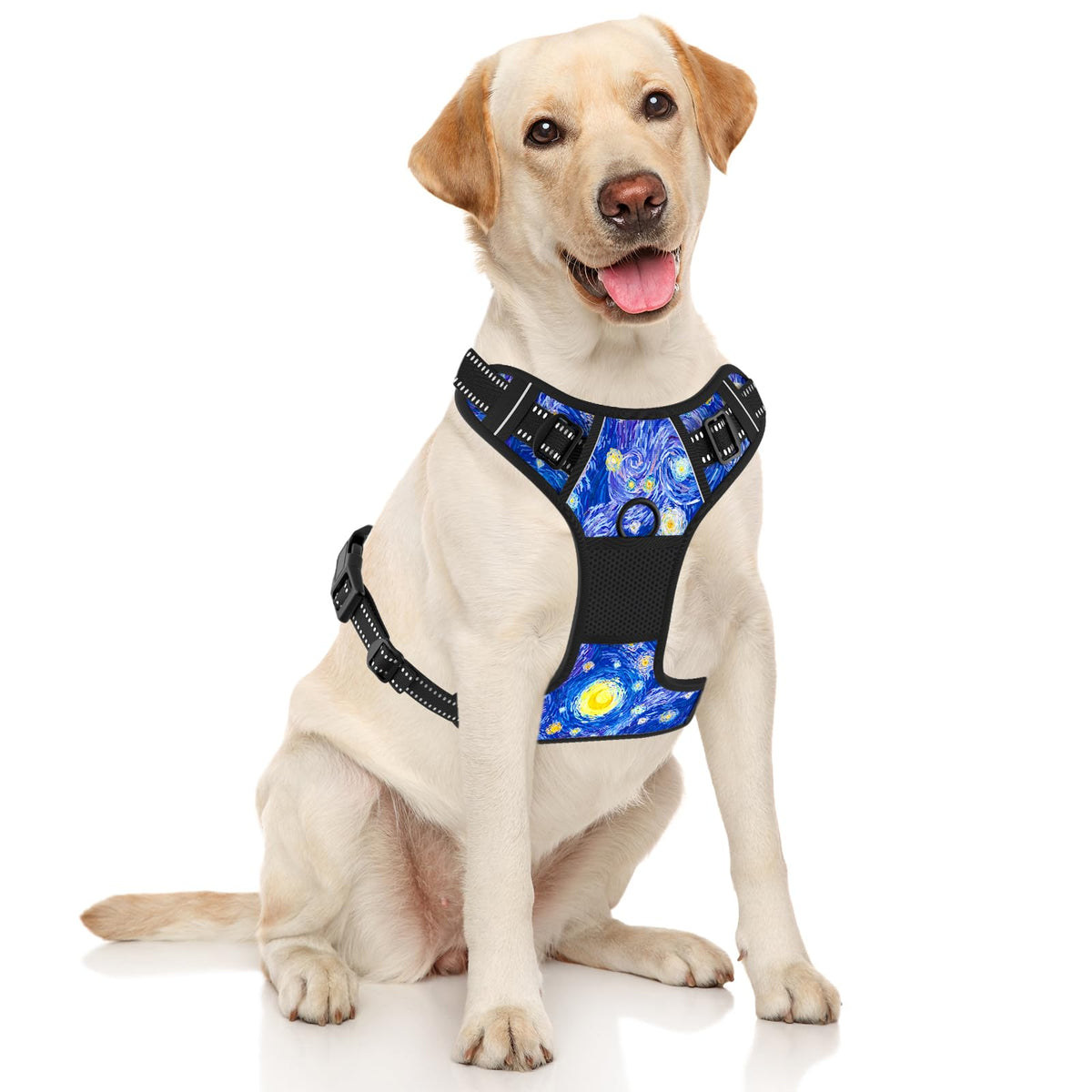 No Pull Dog Harness (Van Gogh Starry Night / Large)
