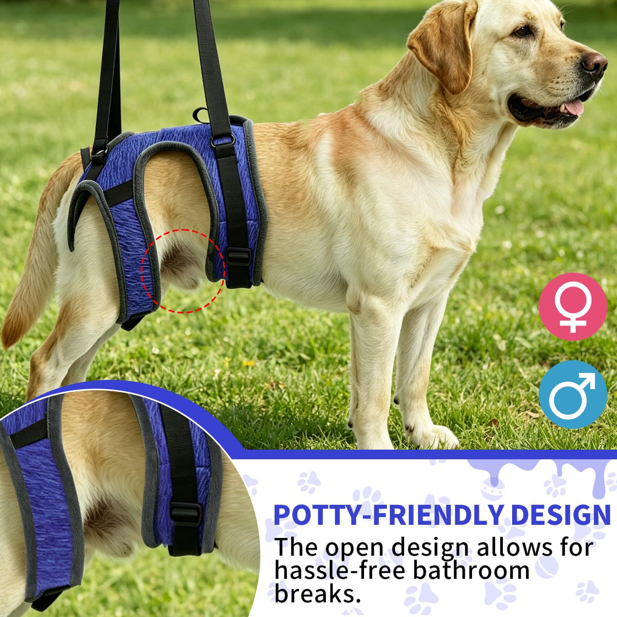 Dog Sling for Large Dogs (XL)