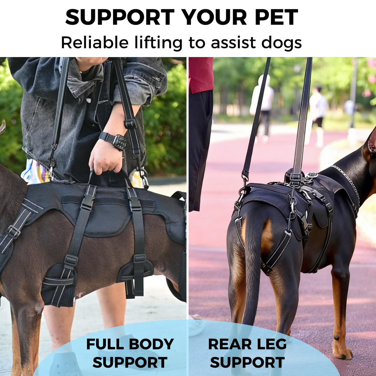 Dog Lift Harness for Medium Dogs (Black / Medium)
