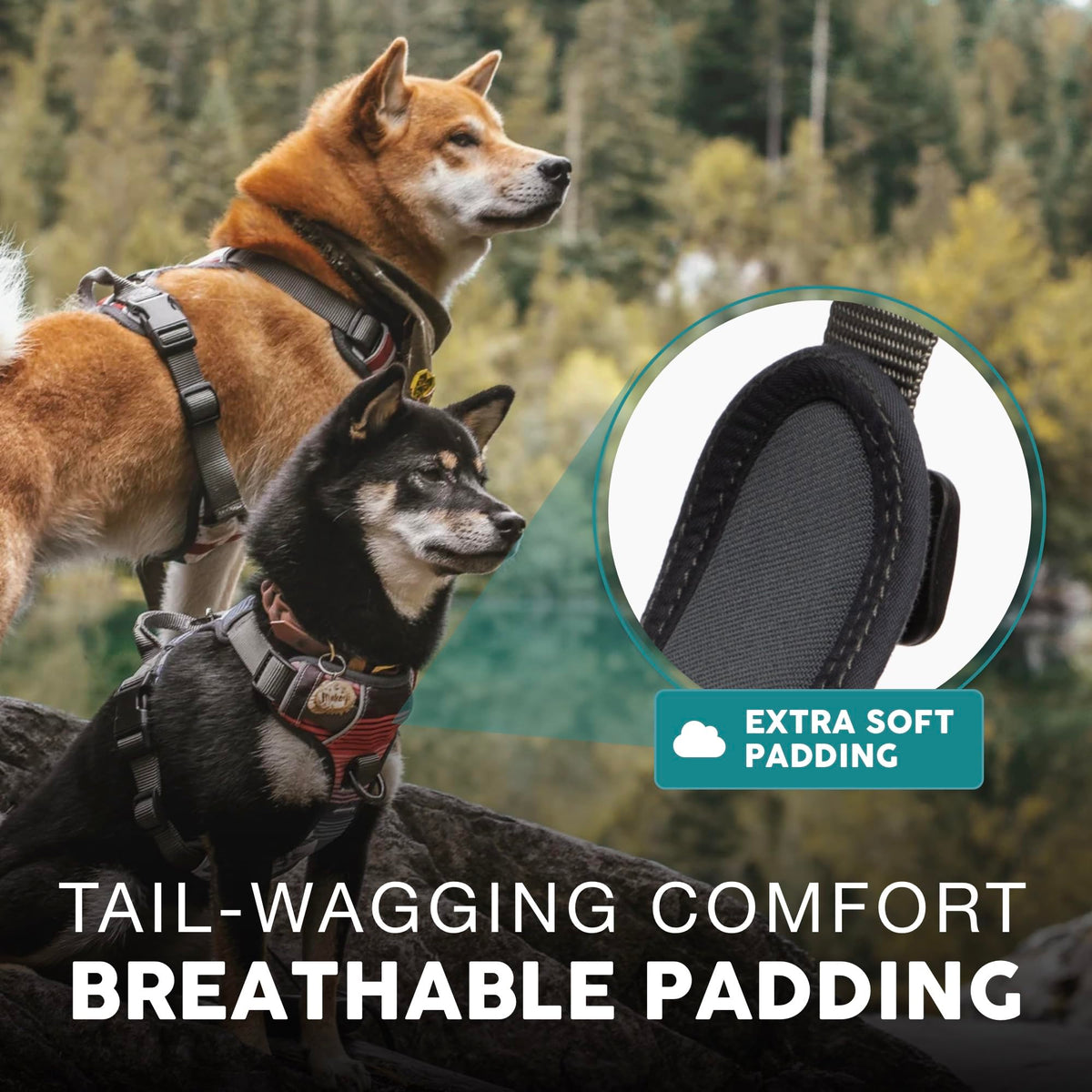 Embark No Pull Dog Harness (XS / Santa Monica)