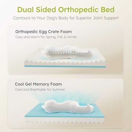 Dog Beds for Large Dogs (Dark Green / Large(36"L x 27"W x8.5"Th))