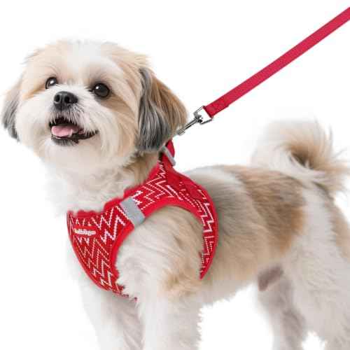 Dog Harness Small Sized and Leash Set (Red Wave / S (Chest: 15.1"-16.5"))