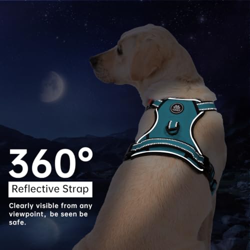 No Pull Dog Harness for Small Dogs (Peacock Blue / Small)
