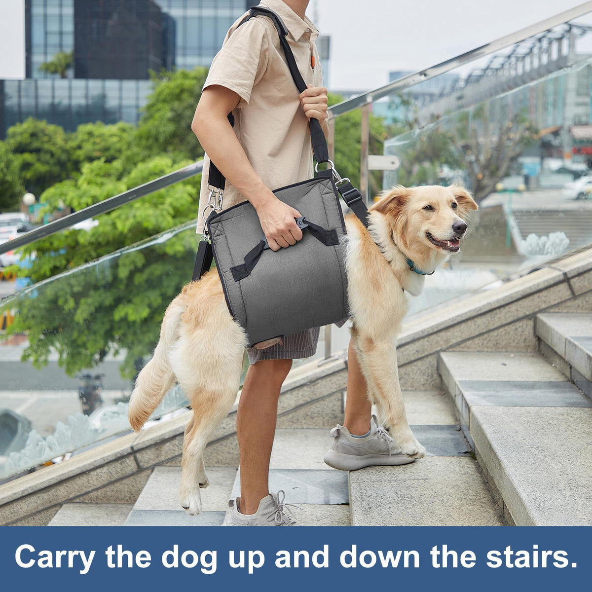 Dog Carry Sling (Black / 39.4"L x 15.7"W x 1.0"H)