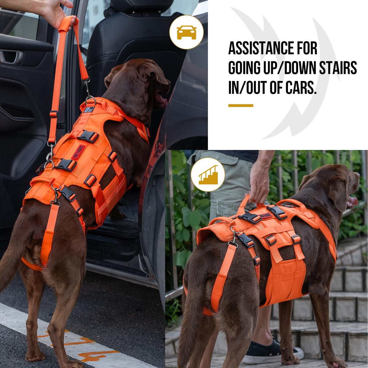 Dog Lift Harness for Large Dogs (Orange / XL)