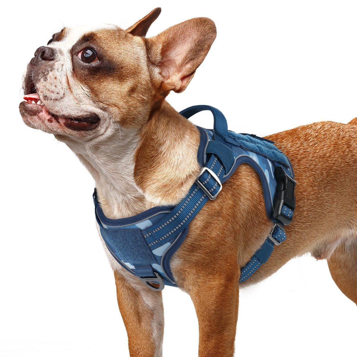 Tactical Dog Harness for Small Dogs (S(Chest:16.1"-31.5",Neck:15.4"-21.6",Back:7.1") / Blue Camo)