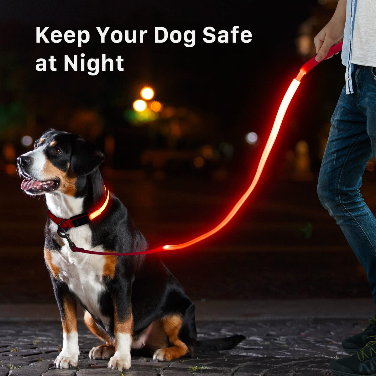 LED Light Up Dog Leash 3 Lighting Modes USB Rechargeable (Red-KX)