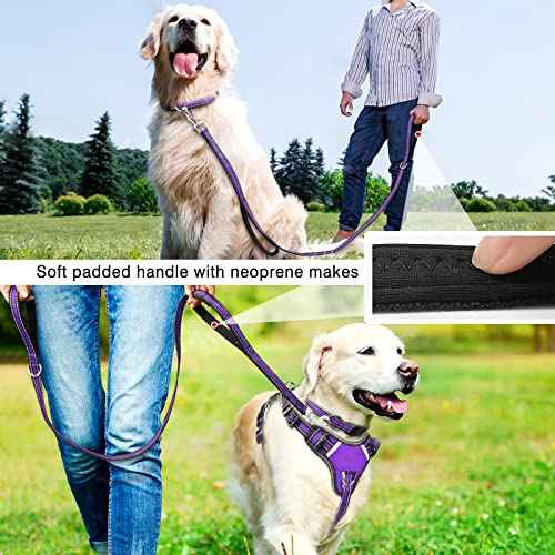 Pet Harness Collar and Leash Set (Small / Purple)