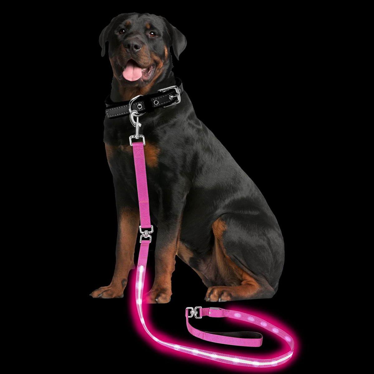 Light up Dog Leash for Night Walking (6 FT / Pink)