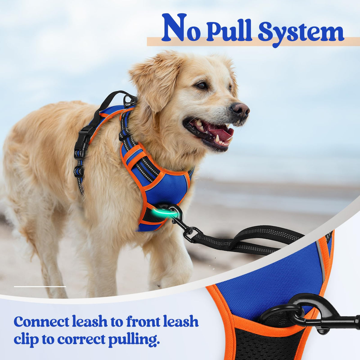 Dog Harness No Pull for Small Dogs with 2 Leash Clips (Small / Blue & Orange)