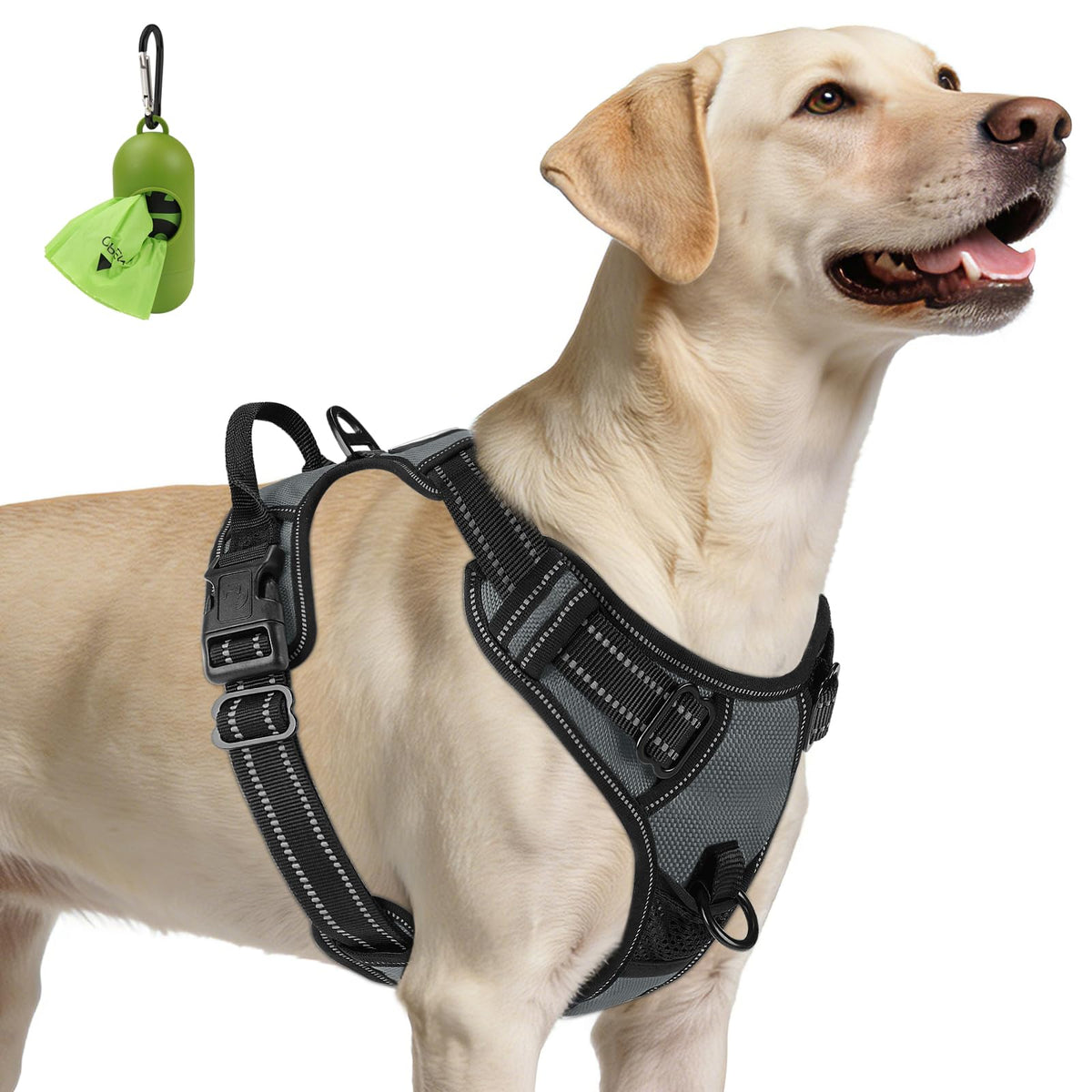 No Pull Dog Harness for Large Dogs (Large / Gray)