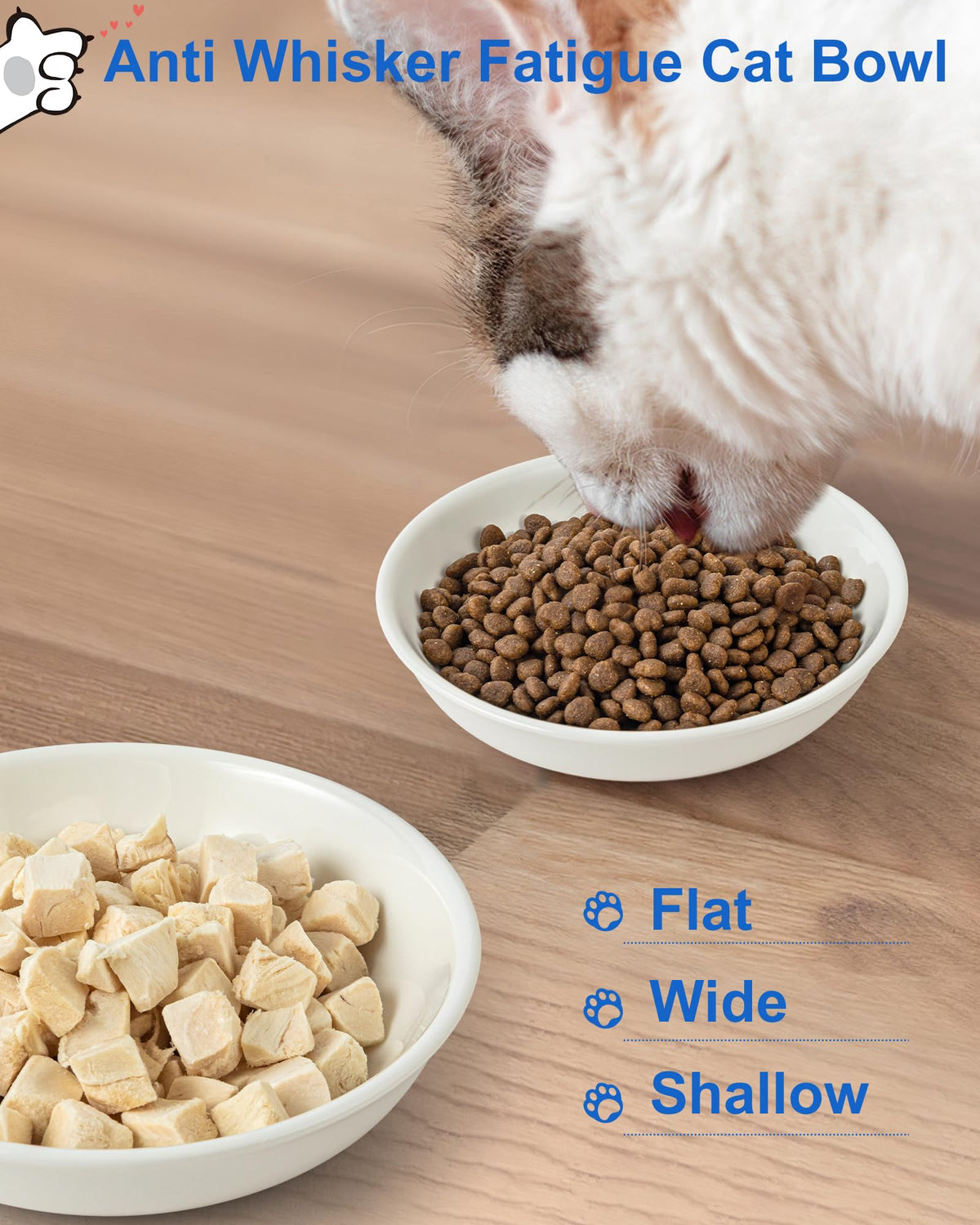 Ceramic Cat Bowl Whisker Friendly (6 Packs)