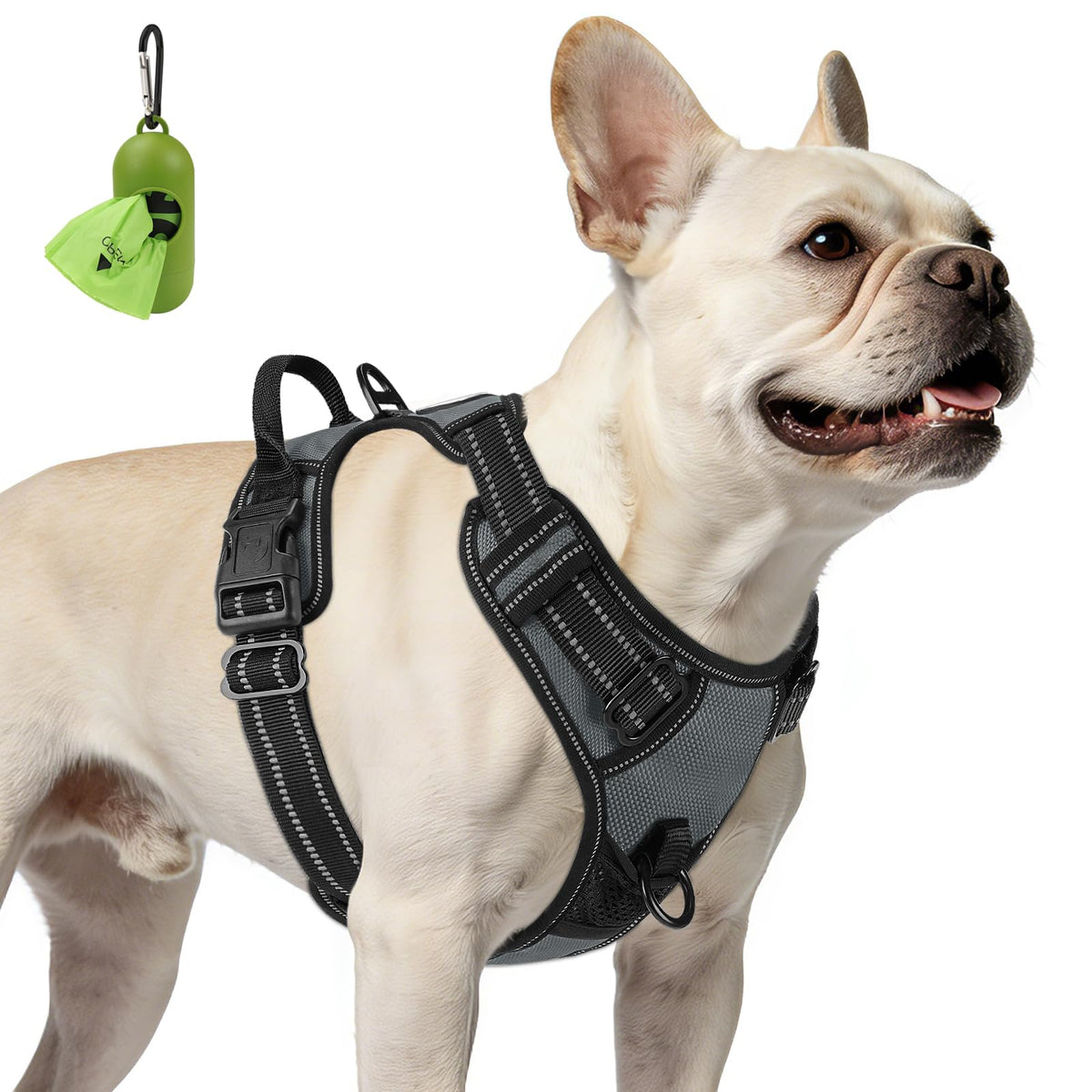 No Pull Dog Harness for Small Dogs (Small / Gray)