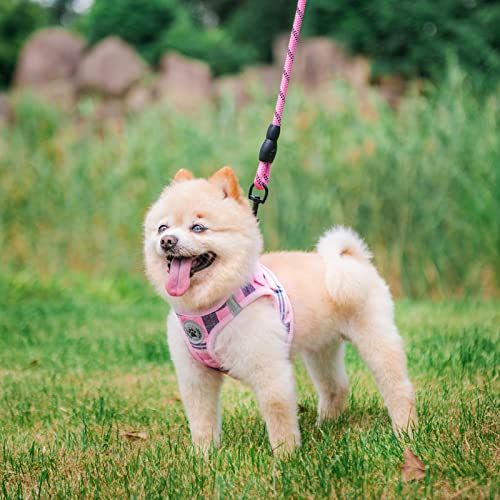 Small Dog Harness and Leash Set (Small(Chest Girth 14.5" - 16") / Pink)