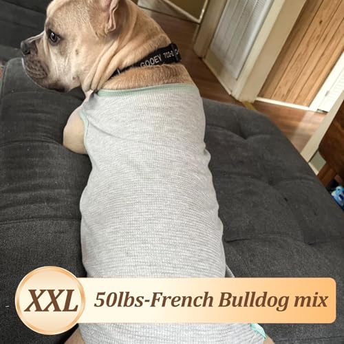 2Pack Waffle Dog Shirt for Medium Large Dogs Striped Dog Sweater (XX-Large (28-50lbs) / 2Pack(Green+Grey))