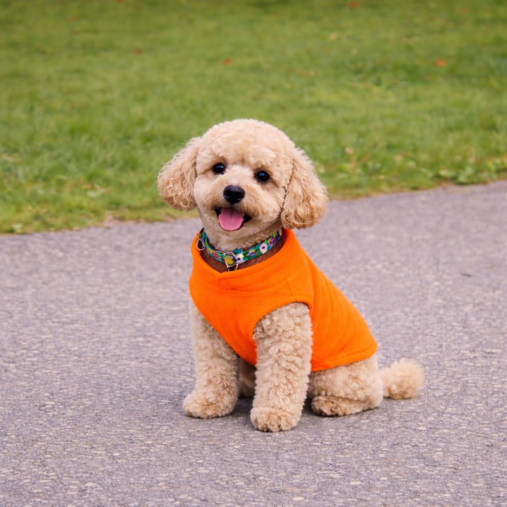 Dog Fleece Vest Sweater with Leash Ring (XXL (25-35lbs) / Orange)