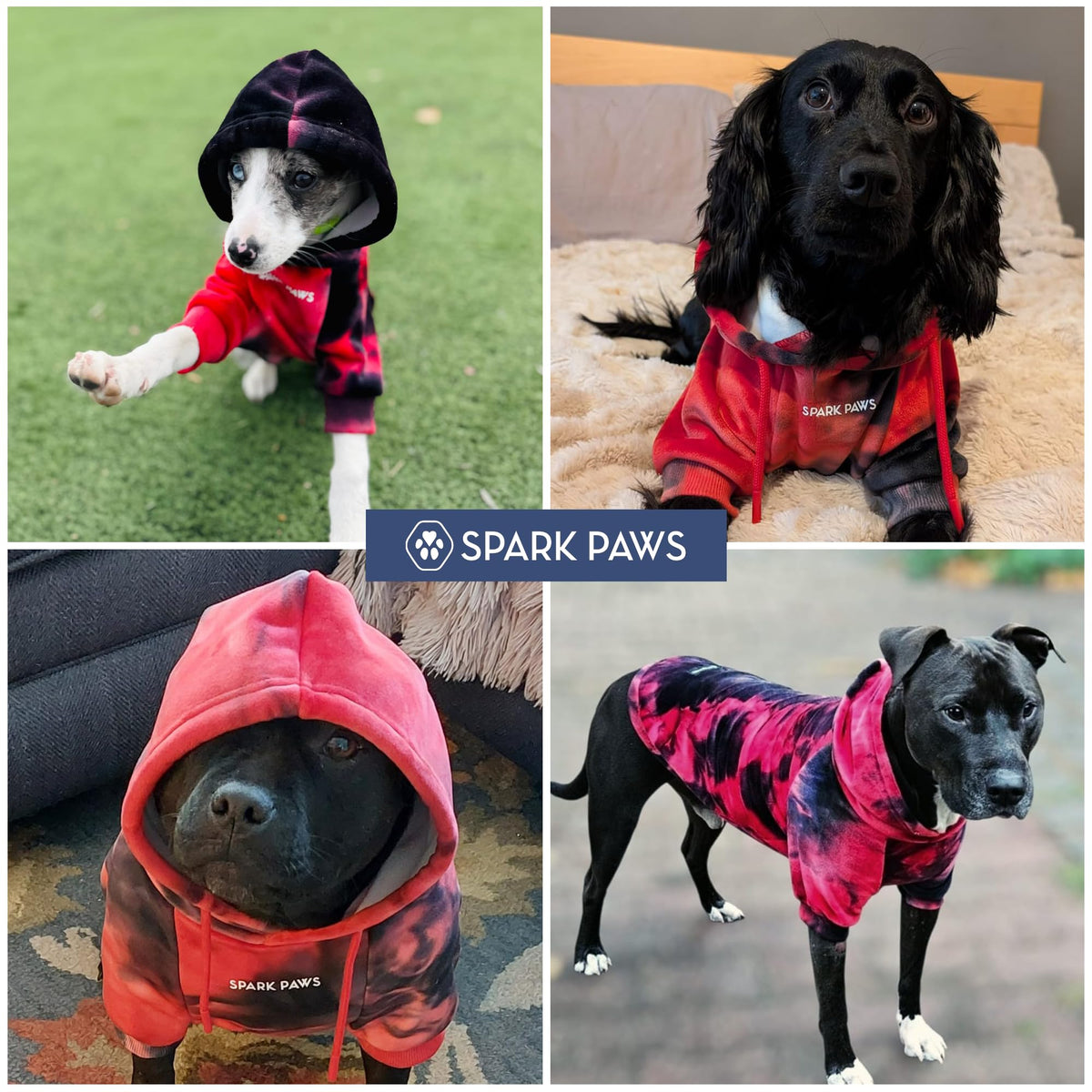 Dog Hoodie Buttery (Red & Black / Small)