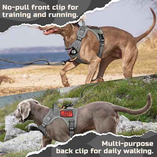 Tactical Dog Harness for X (Grey / X-Large)