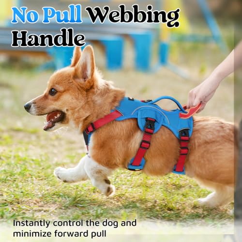 Escape Proof Dog Harness for Small (Red & Blue / Small)