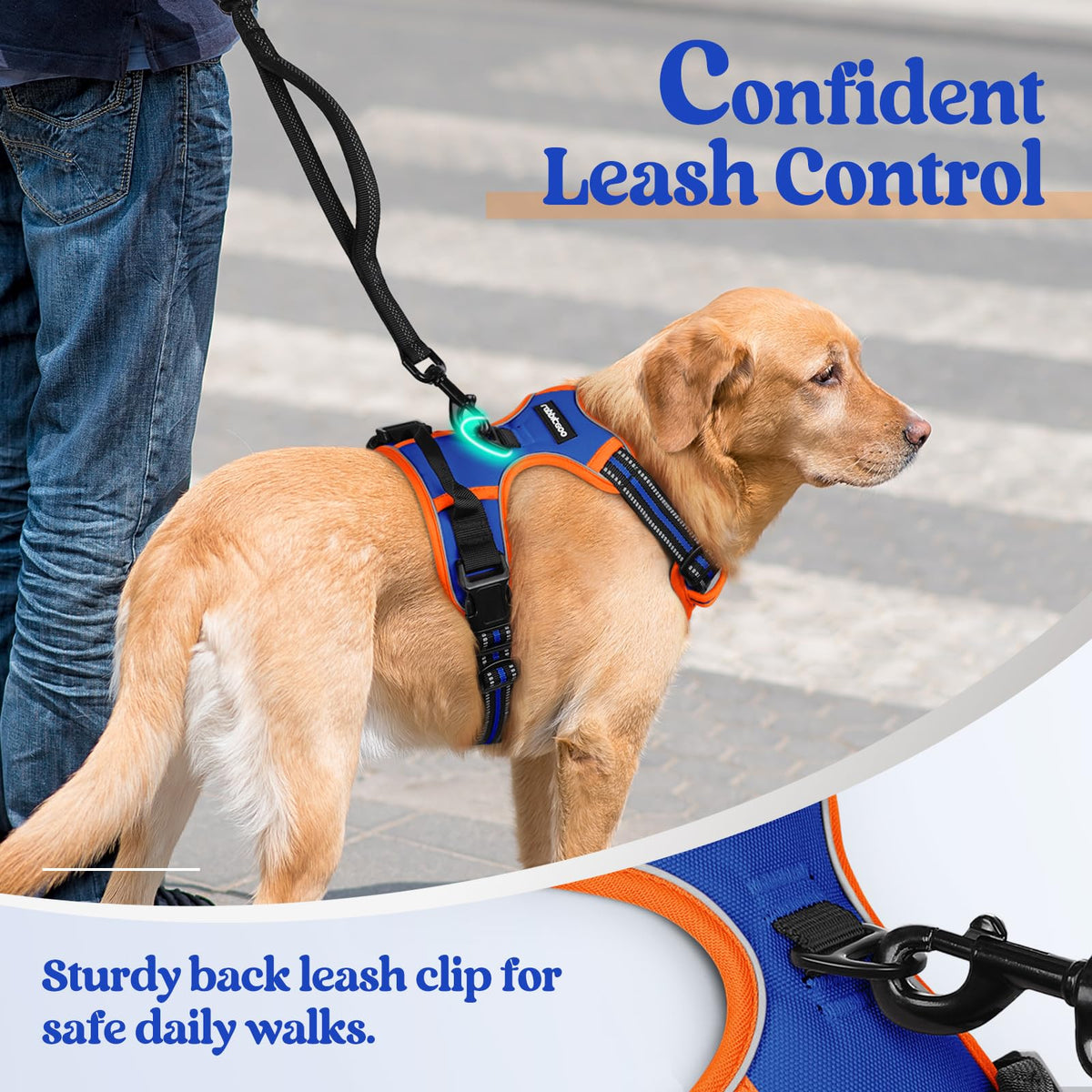 Dog Harness No Pull for Small Dogs with 2 Leash Clips (Small / Blue & Orange)