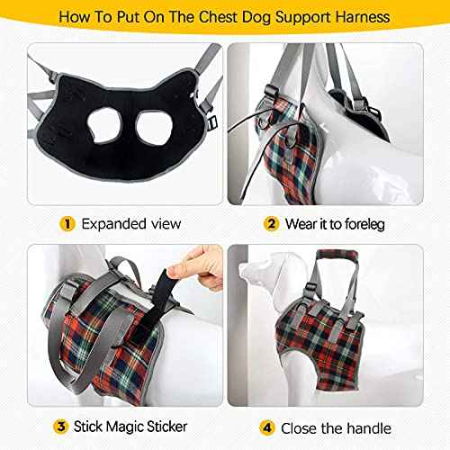 Dog Lift Harness (Medium / Chest-Blue)