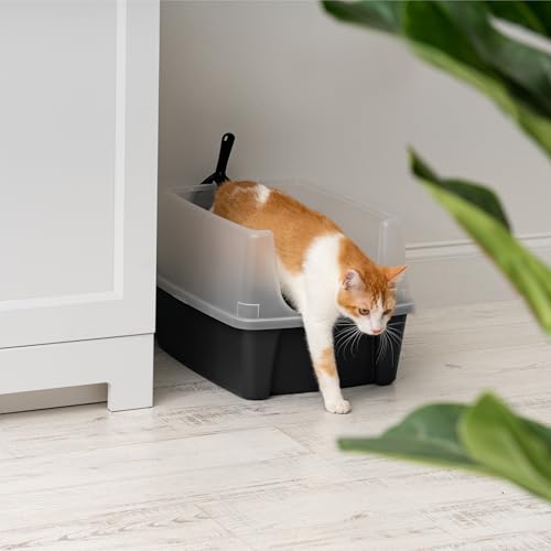 High Sided Cat Litter Box (Large / Black)