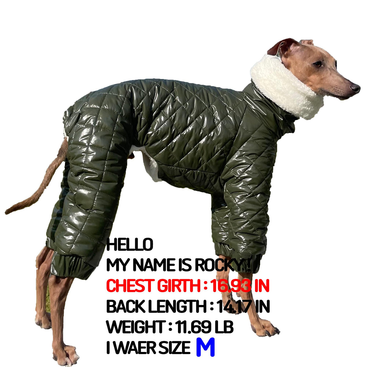 D Doggy Star Italian Greyhound Snowsuit Winter Thick Padded Coat Warm Outfits Jacket Turtleneck Clothes Whippet for Dog (XL / Snowsuit Khaki)