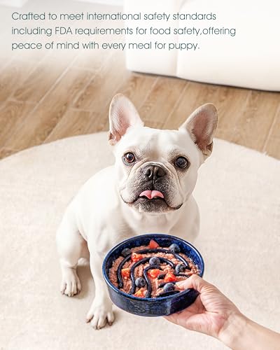 Slow Feeder Dog Bowl (Blue / 0.6 Cups)