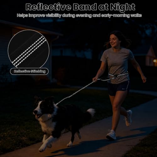 Hands Free Double Dog Leash (Pure Black)