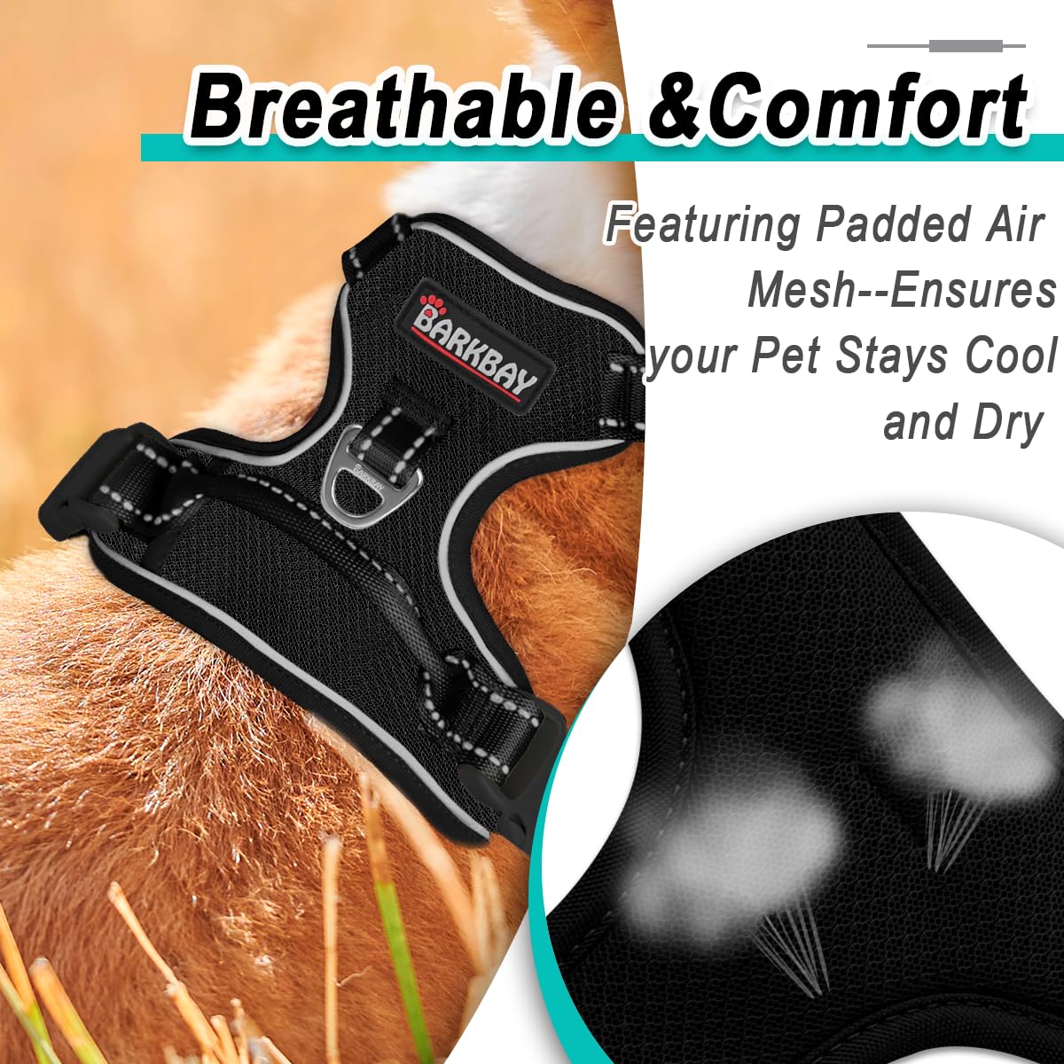 Dog Harness for Medium Sized Dog No Pull Mesh 2 Clips Dog Vest (Black-Mesh / Medium)