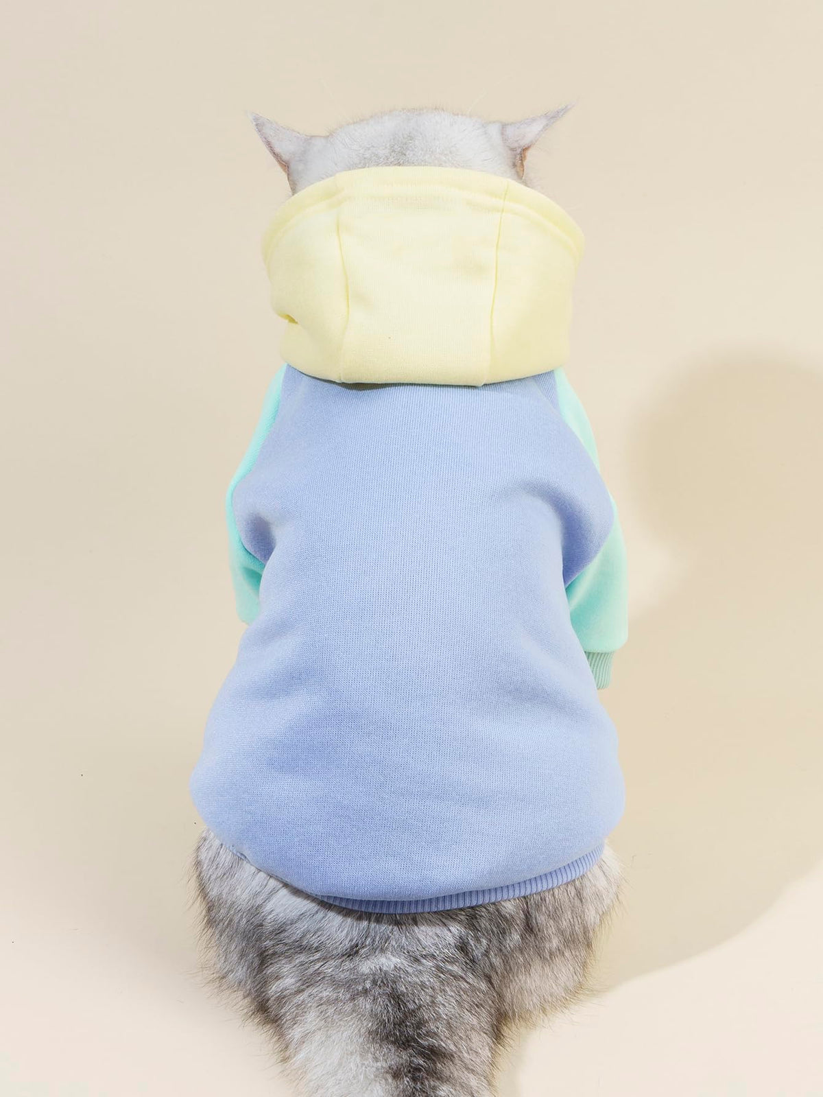 Basic Dog Hoodie Sweatshirt Puppy Sweater Warm Cat Costumes Pet Clothes for Chihuahua Puppy Kitten Small Medium Dogs Yellow and Blue X (X-Small / Yellow and Blue)
