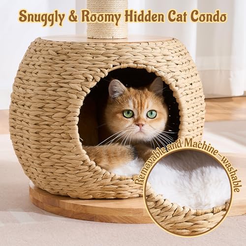 Modern Cat Tree for Indoor Small & Medium Cats (Natural w/ Bed-30")