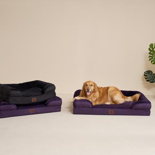 Orthopedic XXL Dog Bed (Purple / 46.0"l X 35.0"w X 7.5"th)